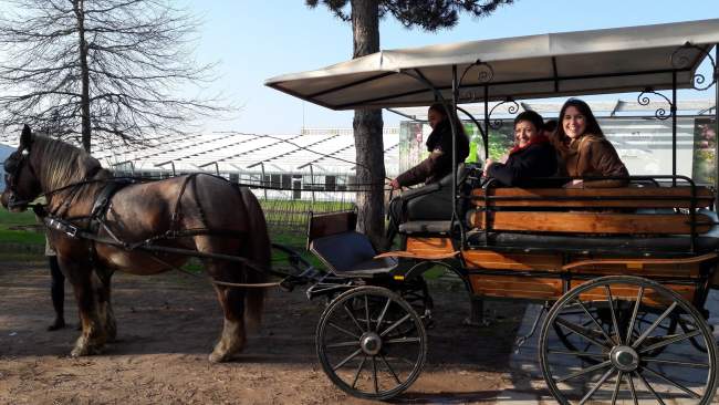 Activités et Tourisme Rives Nature Cottages et Camping en Bretagne