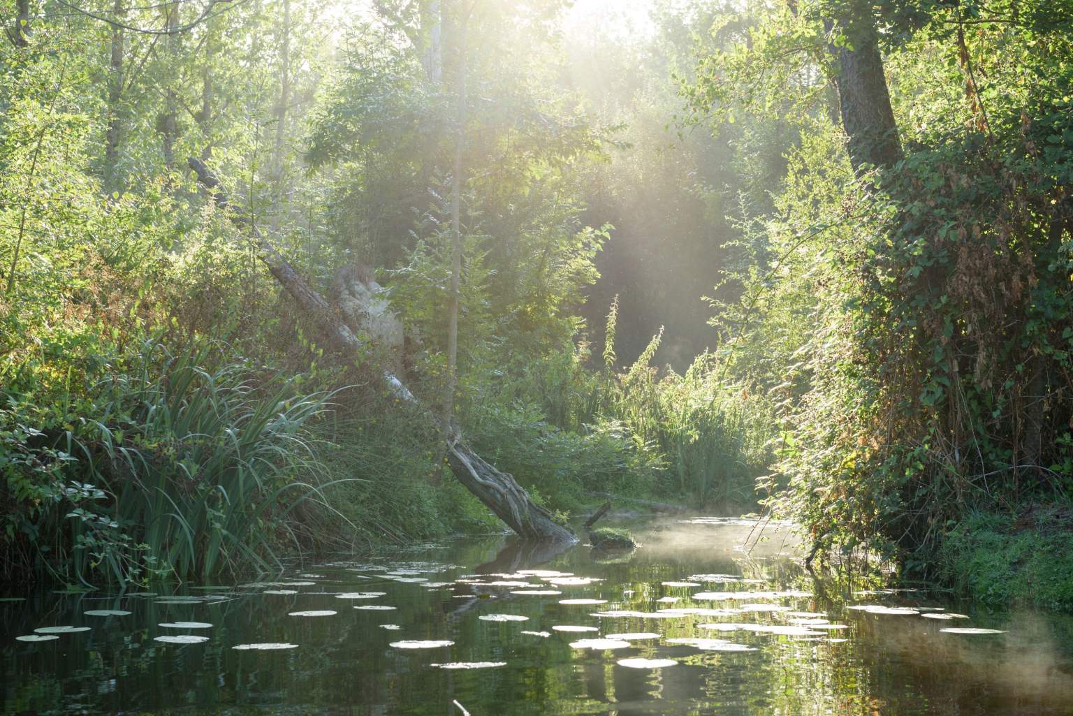 Rives Nature Cottages et Camping en Bretagne<br />