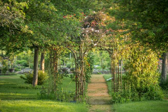 Foret Rives Nature Cottages et Camping en Bretagne
